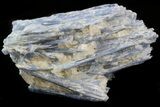 Kyanite Crystal Cluster with Quartz - Brazil #45008-1